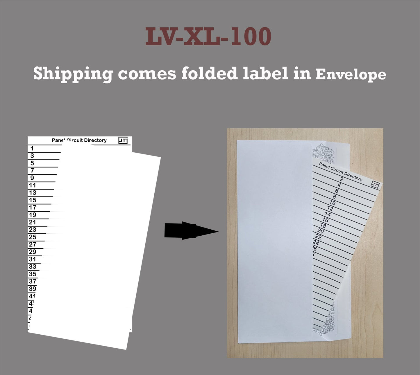 Xtra large 100 Circuits