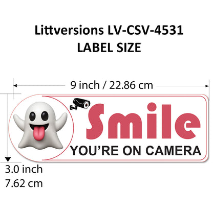 2 Pack 3"x9" Laminated Vinyl Funny Ghost "Smile You're On Camera" Video Surveillance Labels Stickers Sign Decals Security Sign for Home, Business, Cars, Windows, and CCTV Systems