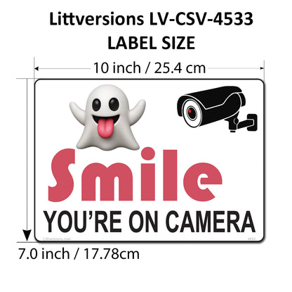4 Pack 7"x10" Laminated Vinyl Funny Ghost "Smile You're On Camera" Video Surveillance Labels Stickers Sign Decals Security Sign for Home, Business, Cars, Windows, and CCTV Systems