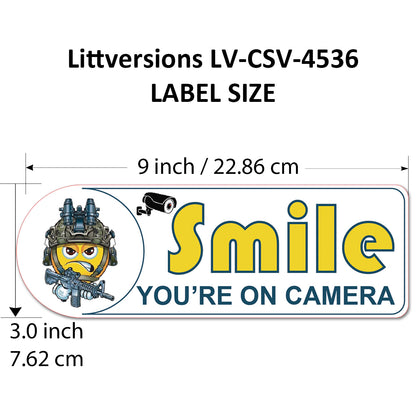 2 Pack 3"x9" Laminated Vinyl Funny Angry Face "Smile You're On Camera" Video Surveillance Labels Stickers Sign Decals Security Sign for Home, Business, Cars, Windows, and CCTV Systems