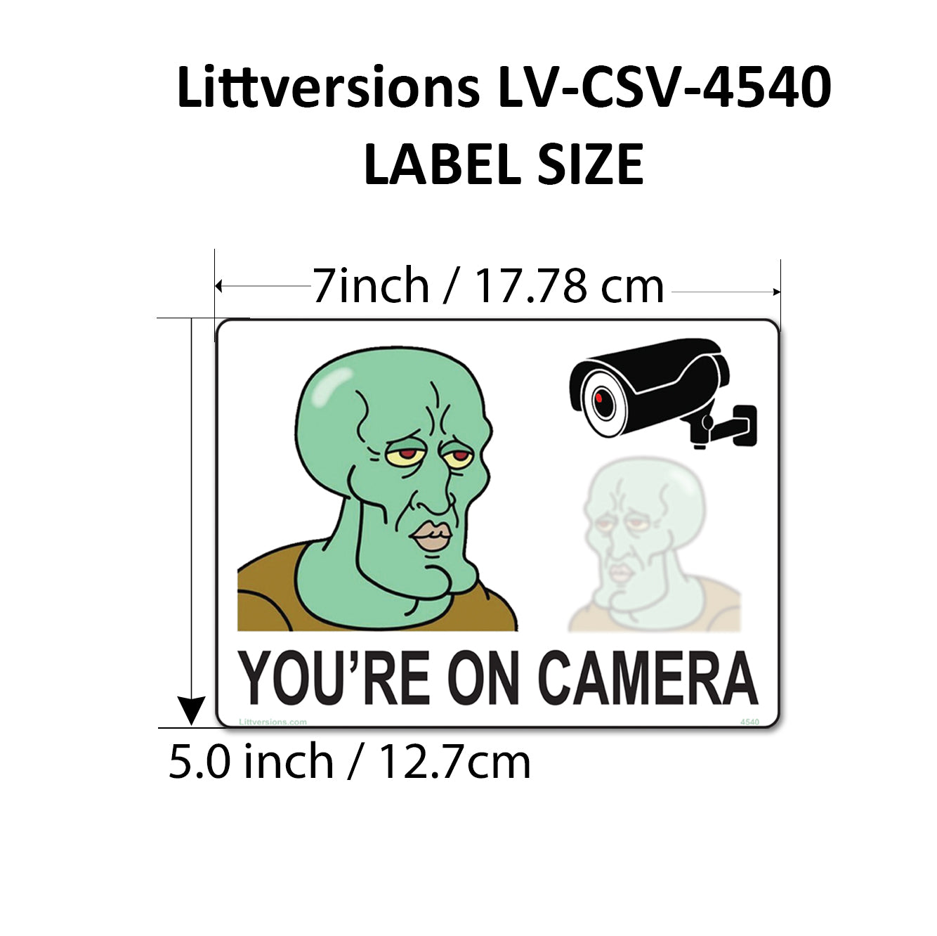 8 Pack 5"x7" Laminated Vinyl Funny Chad "Smile You're On Camera" Video Surveillance Labels Stickers Sign Decals Security Sign for Home, Business, Cars, Windows, and CCTV Systems