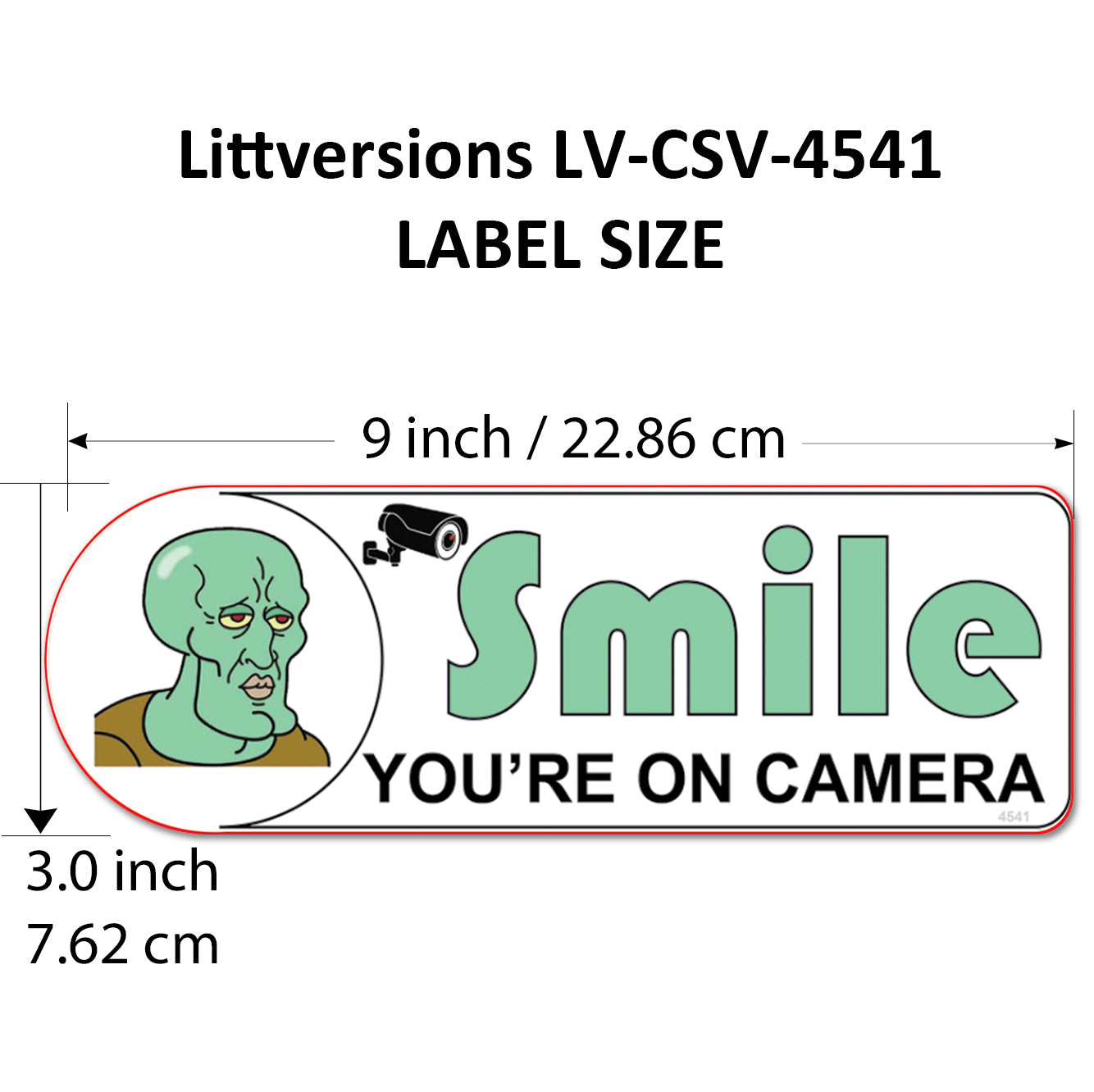 5 Pack 2"x6" Laminated Vinyl Funny Chad "Smile You're On Camera" Video Surveillance Labels Stickers Sign Decals Security Sign for Home, Business, Cars, Windows, and CCTV Systems