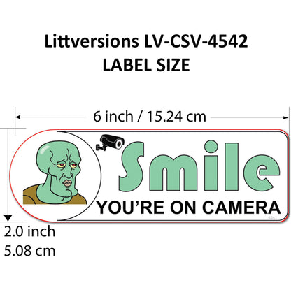 2 Pack 3"x9" Laminated Vinyl Funny Chad "Smile You're On Camera" Video Surveillance Labels Stickers Sign Decals Security Sign for Home, Business, Cars, Windows, and CCTV Systems